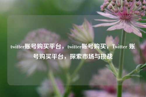 twitter账号购买平台，twitter帐号购买，Twitter 账号购买平台	，探索市场与挑战  第1张