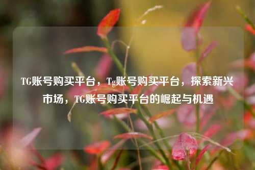 TG账号购买平台，Tg账号购买平台，探索新兴市场，TG账号购买平台的崛起与机遇