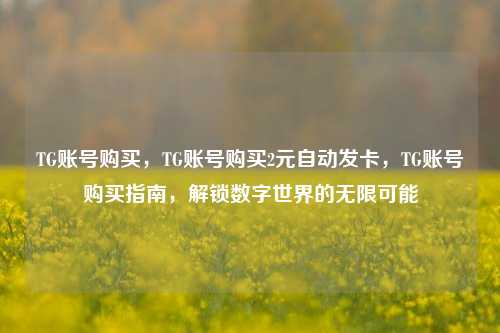 TG账号购买，TG账号购买2元自动发卡，TG账号购买指南，解锁数字世界的无限可能