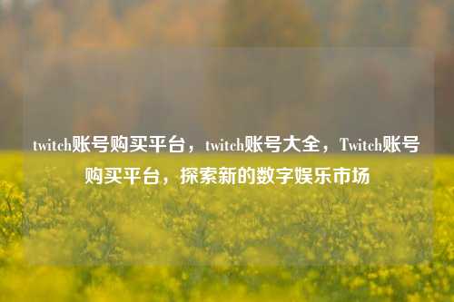 twitch账号购买平台，twitch账号大全，Twitch账号购买平台，探索新的数字娱乐市场