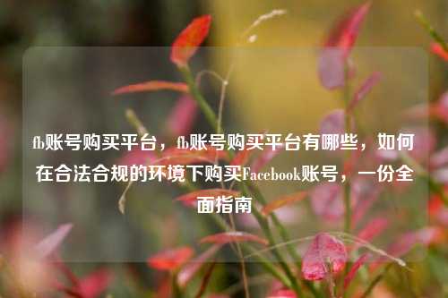 fb账号购买平台，fb账号购买平台有哪些，如何在合法合规的环境下购买Facebook账号，一份全面指南
