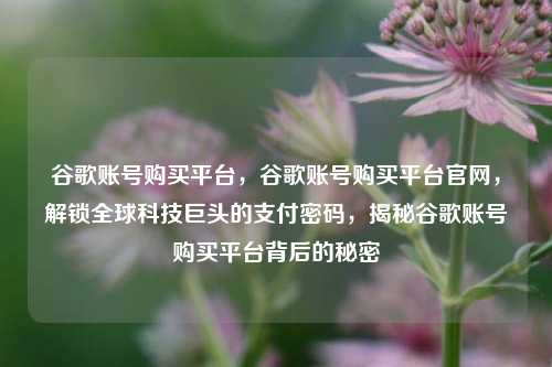 谷歌账号购买平台，谷歌账号购买平台官网，解锁全球科技巨头的支付密码，揭秘谷歌账号购买平台背后的秘密