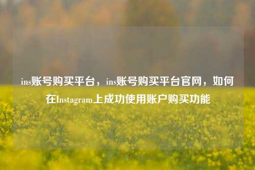 ins账号购买平台，ins账号购买平台官网，如何在Instagram上成功使用账户购买功能  第1张