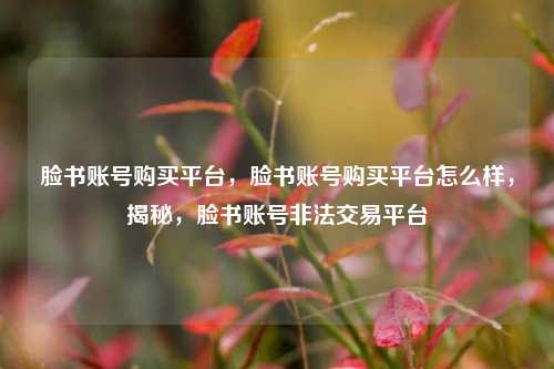 脸书账号购买平台，脸书账号购买平台怎么样，揭秘，脸书账号非法交易平台