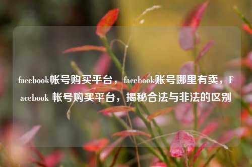 facebook帐号购买平台	，facebook账号哪里有卖，Facebook 帐号购买平台，揭秘合法与非法的区别  第1张
