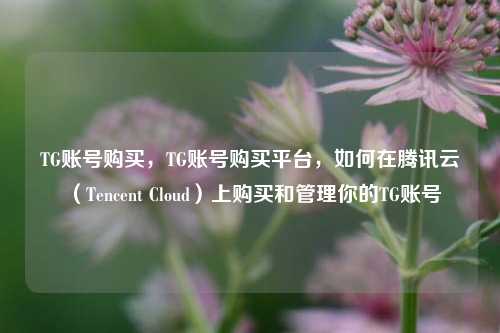 TG账号购买，TG账号购买平台，如何在腾讯云（Tencent Cloud）上购买和管理你的TG账号