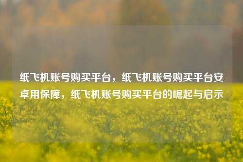 纸飞机账号购买平台，纸飞机账号购买平台安卓用保障，纸飞机账号购买平台的崛起与启示