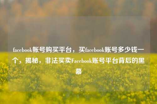 facebook帐号购买平台，买facebook账号多少钱一个，揭秘，非法买卖Facebook账号平台背后的黑幕