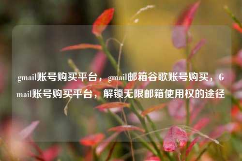 gmail账号购买平台，gmail邮箱谷歌账号购买，Gmail账号购买平台，解锁无限邮箱使用权的途径