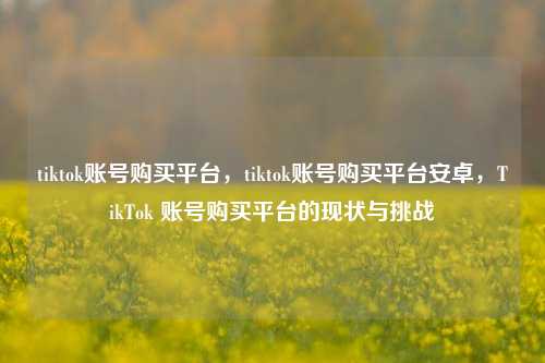 tiktok账号购买平台，tiktok账号购买平台安卓，TikTok 账号购买平台的现状与挑战