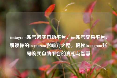 instagram账号购买自助平台，ins账号交易平台，解锁你的Instagram影响力之路，揭秘Instagram账号购买自助平台的真相与智慧