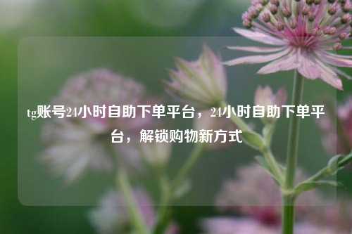 tg账号24小时自助下单平台，24小时自助下单平台	，解锁购物新方式  第1张