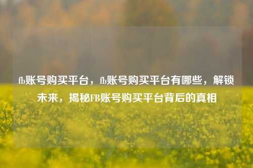 fb账号购买平台	，fb账号购买平台有哪些，解锁未来，揭秘FB账号购买平台背后的真相  第1张