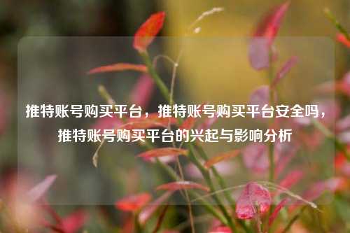 推特账号购买平台，推特账号购买平台安全吗，推特账号购买平台的兴起与影响分析