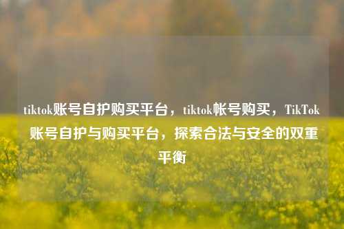 tiktok账号自护购买平台，tiktok帐号购买，TikTok 账号自护与购买平台，探索合法与安全的双重平衡