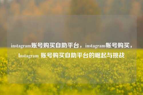 instagram账号购买自助平台，instagram帐号购买，Instagram 账号购买自助平台的崛起与挑战