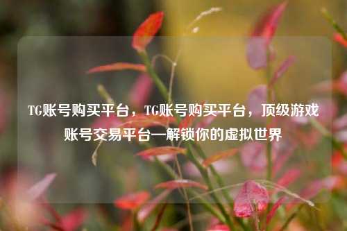 TG账号购买平台，TG账号购买平台，顶级游戏账号交易平台—解锁你的虚拟世界