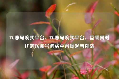 TG账号购买平台，TG账号购买平台，互联网时代的TG账号购买平台崛起与挑战