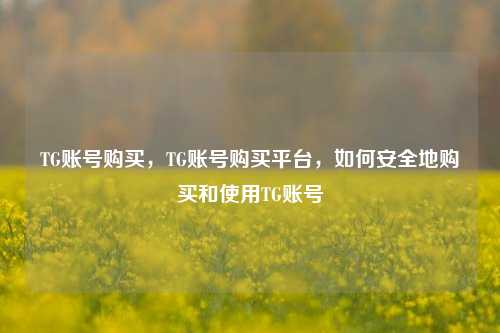 TG账号购买，TG账号购买平台，如何安全地购买和使用TG账号