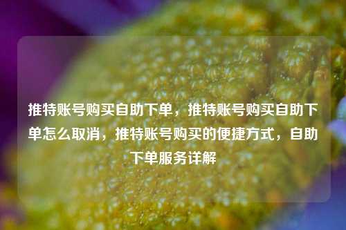 推特账号购买自助下单，推特账号购买自助下单怎么取消，推特账号购买的便捷方式，自助下单服务详解