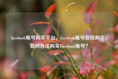 facebook帐号购买平台，facebook账号在线购买，如何合法购买Facebook账号？  第1张