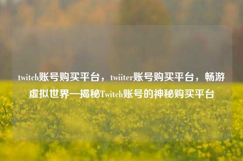 twitch账号购买平台，twiiter账号购买平台，畅游虚拟世界—揭秘Twitch账号的神秘购买平台