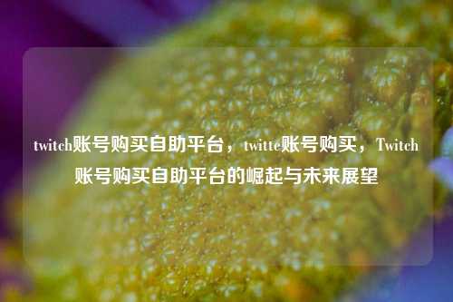 twitch账号购买自助平台，twitte账号购买，Twitch账号购买自助平台的崛起与未来展望