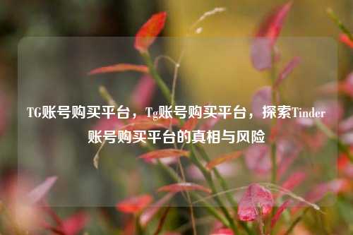 TG账号购买平台，Tg账号购买平台，探索Tinder账号购买平台的真相与风险