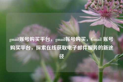 gmail账号购买平台，gmail帐号购买，Gmail 账号购买平台，探索在线获取电子邮件服务的新途径