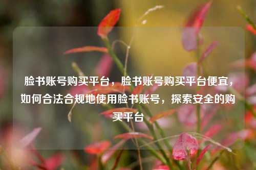 脸书账号购买平台，脸书账号购买平台便宜，如何合法合规地使用脸书账号，探索安全的购买平台  第1张