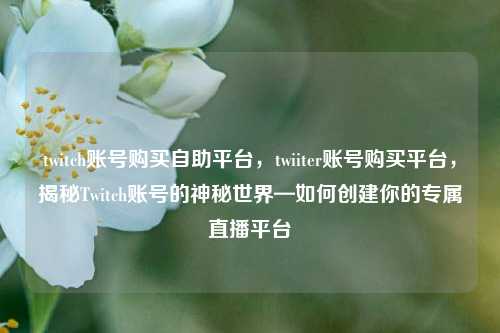 twitch账号购买自助平台，twiiter账号购买平台，揭秘Twitch账号的神秘世界—如何创建你的专属直播平台