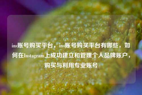 ins账号购买平台，ins账号购买平台有哪些，如何在Instagram上成功建立和管理个人品牌账户，购买与利用专业账号