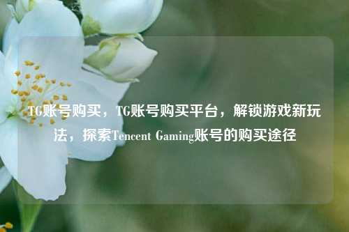 TG账号购买	，TG账号购买平台，解锁游戏新玩法，探索Tencent Gaming账号的购买途径  第1张