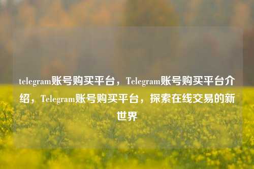 telegram账号购买平台，Telegram账号购买平台介绍，Telegram账号购买平台，探索在线交易的新世界