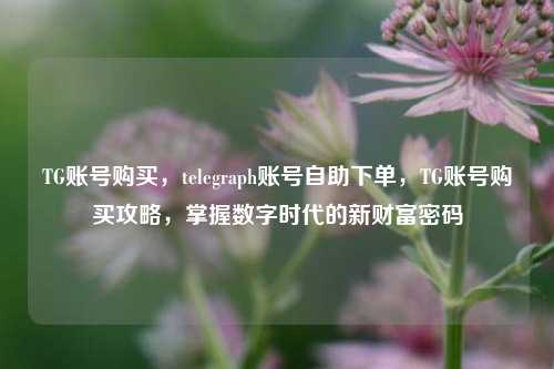 TG账号购买，telegraph账号自助下单，TG账号购买攻略，掌握数字时代的新财富密码