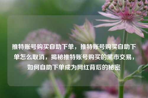 推特账号购买自助下单，推特账号购买自助下单怎么取消，揭秘推特账号购买的黑市交易，如何自助下单成为网红背后的秘密