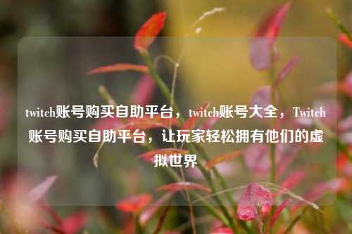 twitch账号购买自助平台，twitch账号大全，Twitch账号购买自助平台，让玩家轻松拥有他们的虚拟世界