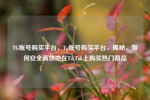 TG账号购买平台，Tg账号购买平台，揭秘，如何安全高效地在TikTok上购买热门商品  第1张