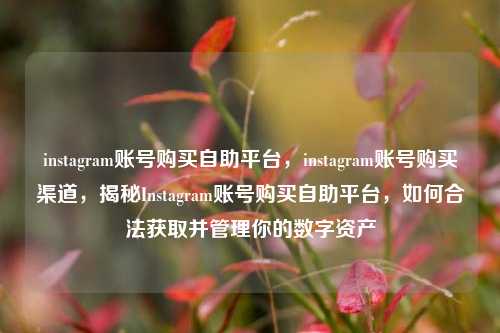 instagram账号购买自助平台	，instagram账号购买渠道，揭秘Instagram账号购买自助平台，如何合法获取并管理你的数字资产  第1张