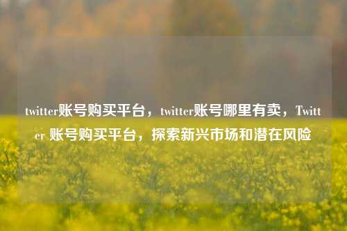 twitter账号购买平台，twitter账号哪里有卖，Twitter 账号购买平台，探索新兴市场和潜在风险