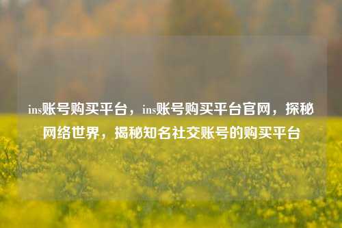 ins账号购买平台，ins账号购买平台官网，探秘网络世界，揭秘知名社交账号的购买平台