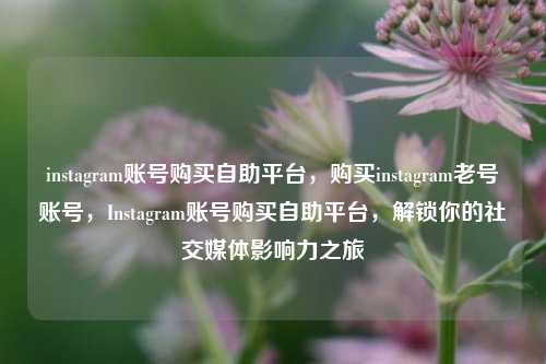 instagram账号购买自助平台，购买instagram老号账号，Instagram账号购买自助平台，解锁你的社交媒体影响力之旅
