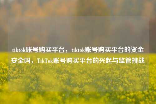 tiktok账号购买平台，tiktok账号购买平台的资金安全吗，TikTok账号购买平台的兴起与监管挑战