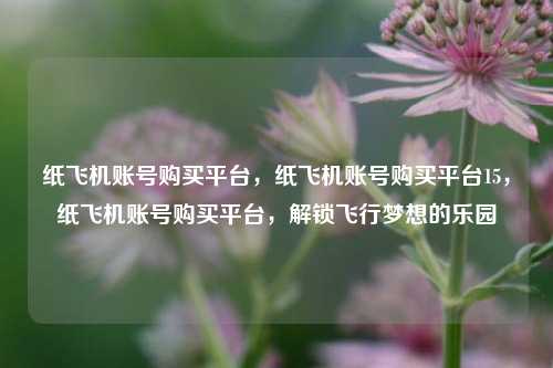纸飞机账号购买平台，纸飞机账号购买平台15，纸飞机账号购买平台，解锁飞行梦想的乐园