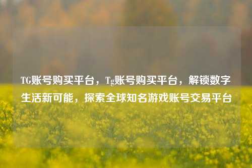 TG账号购买平台，Tg账号购买平台	，解锁数字生活新可能，探索全球知名游戏账号交易平台  第1张