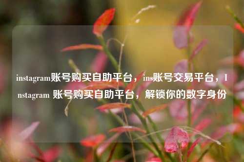 instagram账号购买自助平台，ins账号交易平台，Instagram 账号购买自助平台，解锁你的数字身份