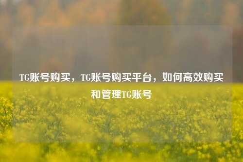 TG账号购买，TG账号购买平台，如何高效购买和管理TG账号