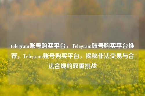 telegram账号购买平台，Telegram账号购买平台推荐，Telegram账号购买平台，揭秘非法交易与合法合规的双重挑战