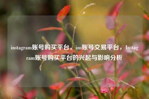 instagram账号购买平台，ins账号交易平台，Instagram账号购买平台的兴起与影响分析