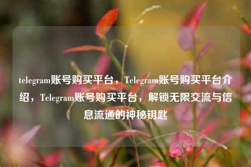 telegram账号购买平台，Telegram账号购买平台介绍，Telegram账号购买平台，解锁无限交流与信息流通的神秘钥匙